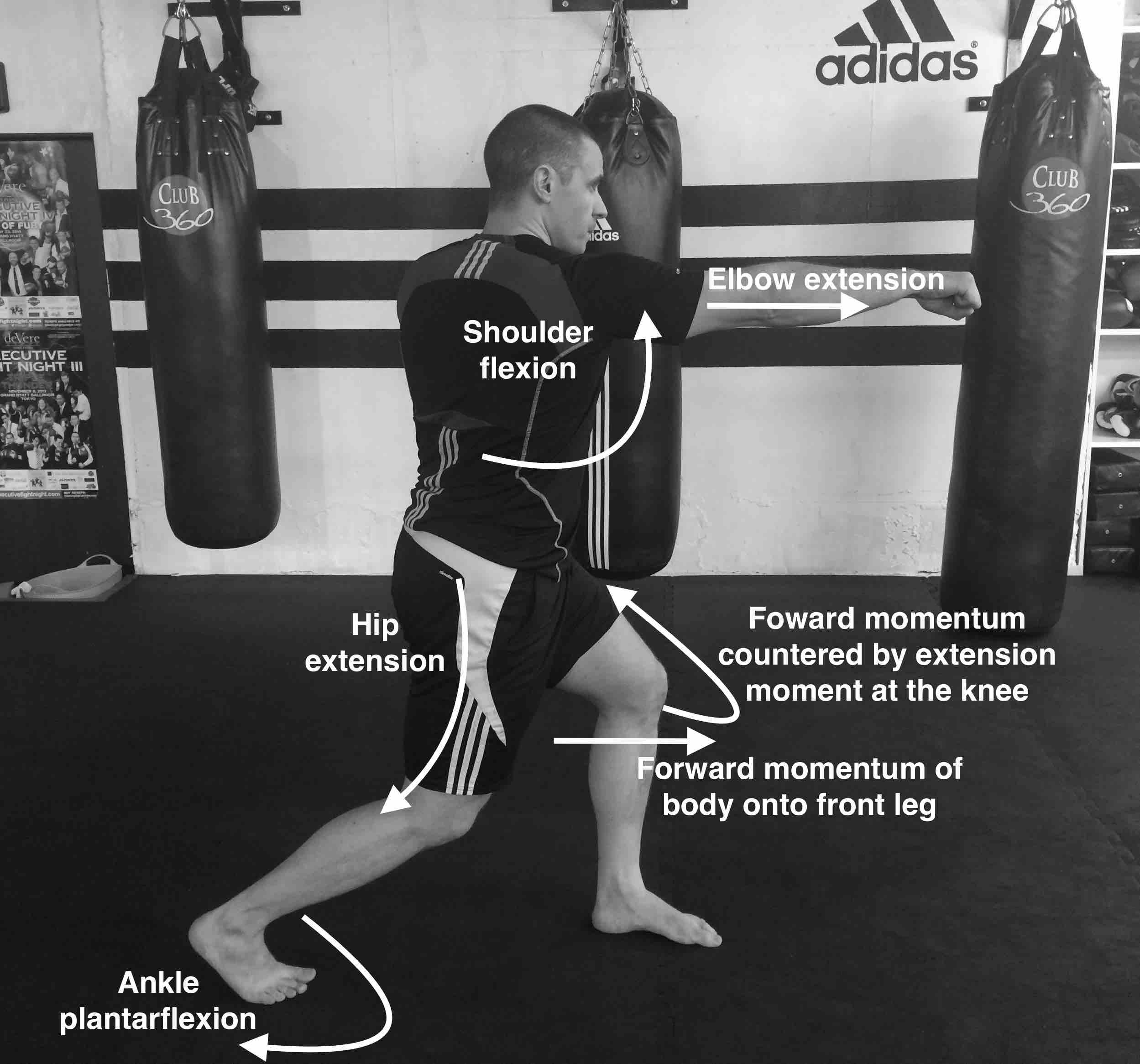 Is hitting the chest/heart area considered not effective in boxing